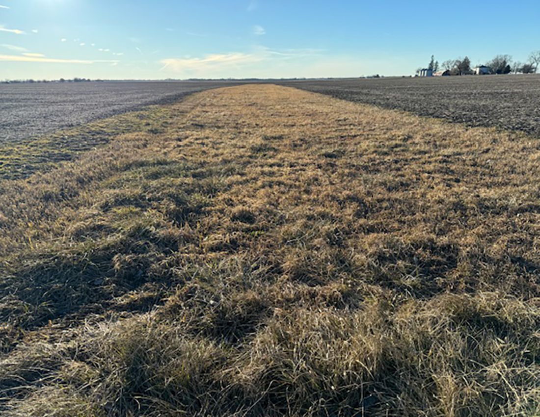 Listing Photo: Diss looking west